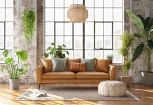 Τα φυτά εσωτερικού χώρου βελτιώνουν την ψυχολογία των ανθρώπων