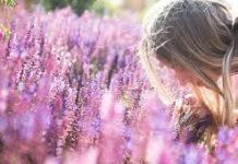 Έλαιο λεβάντας: Με υπέροχη μυρωδιά που καταπραΰνει σώμα και πνεύμα