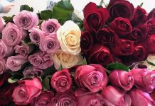 Χρόνια Πολλά σε όλες τις γυναίκες του κόσμου!!!