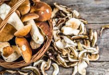 Ποιο είδος μανιταριών αποτελεί την καλύτερη επιλογή στο αδυνάτισμα