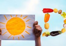 You need vitamin D. Where do you get it besides the sun?