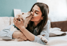 Τα πλεονεκτήματα ενός κατοικίδιου.