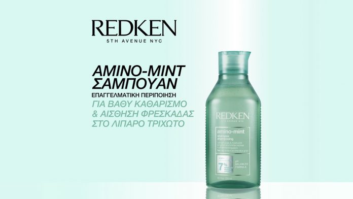 fatness amino mint redken