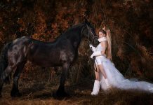 The power of the picture-Η δύναμη της εικόνας εικόνας