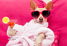 Συνήθειες που καταναλώνουν την ενέργεια μας.