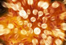 Ακρίβεια όταν είναι προ των πυλών…. ακρίβεια