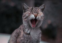 Διακοπές: γιατί δεν φορτίζουν οι “μπαταρίες” μου; Διακοπές γιατί δεν φορτίζουν οι μπαταρίες μου hairdressingnews mycitycoach