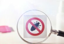 Ψείρες σώματος