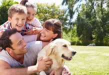 Going on a summer vacation? Take your friend along!