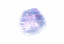 NEW DIA LIGHT NEW DIA LIGHT (2)